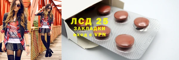 индика Армянск