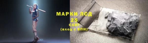 сатива Аркадак