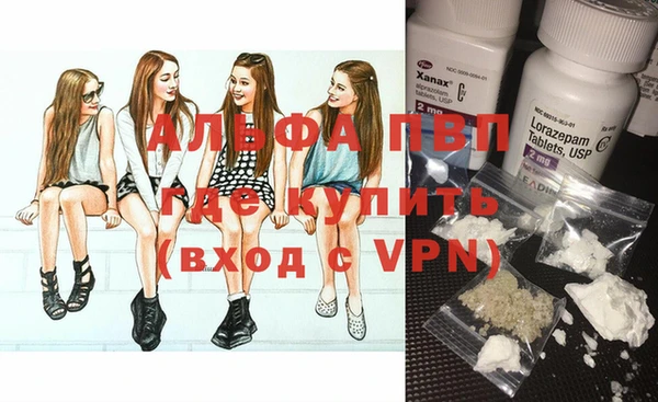 сатива Аркадак