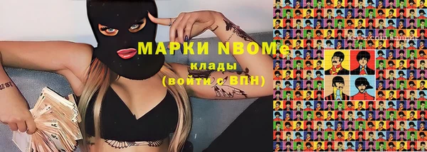 индика Армянск
