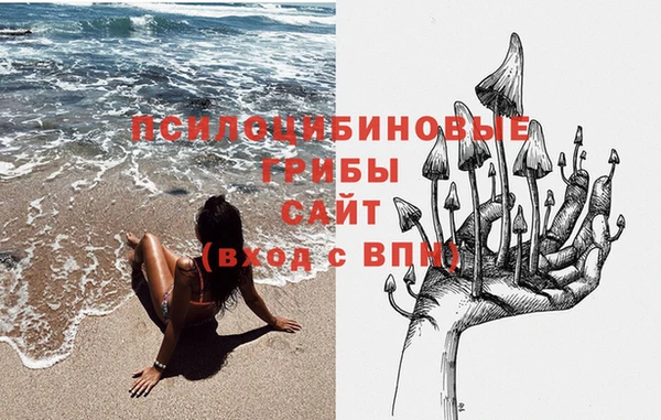 сатива Аркадак