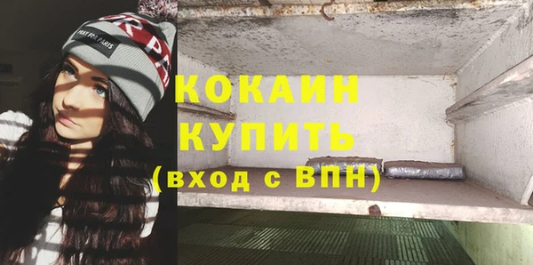 индика Армянск