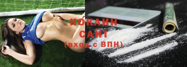 индика Армянск